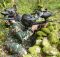 Paintball en Asturias