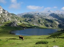 asturies
