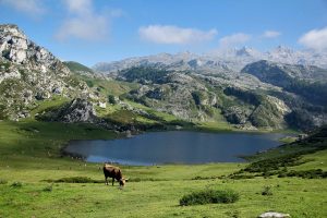 asturies