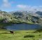 asturies